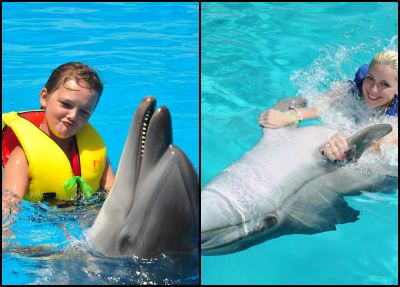 Alanya Schwimmen mit Delfinen